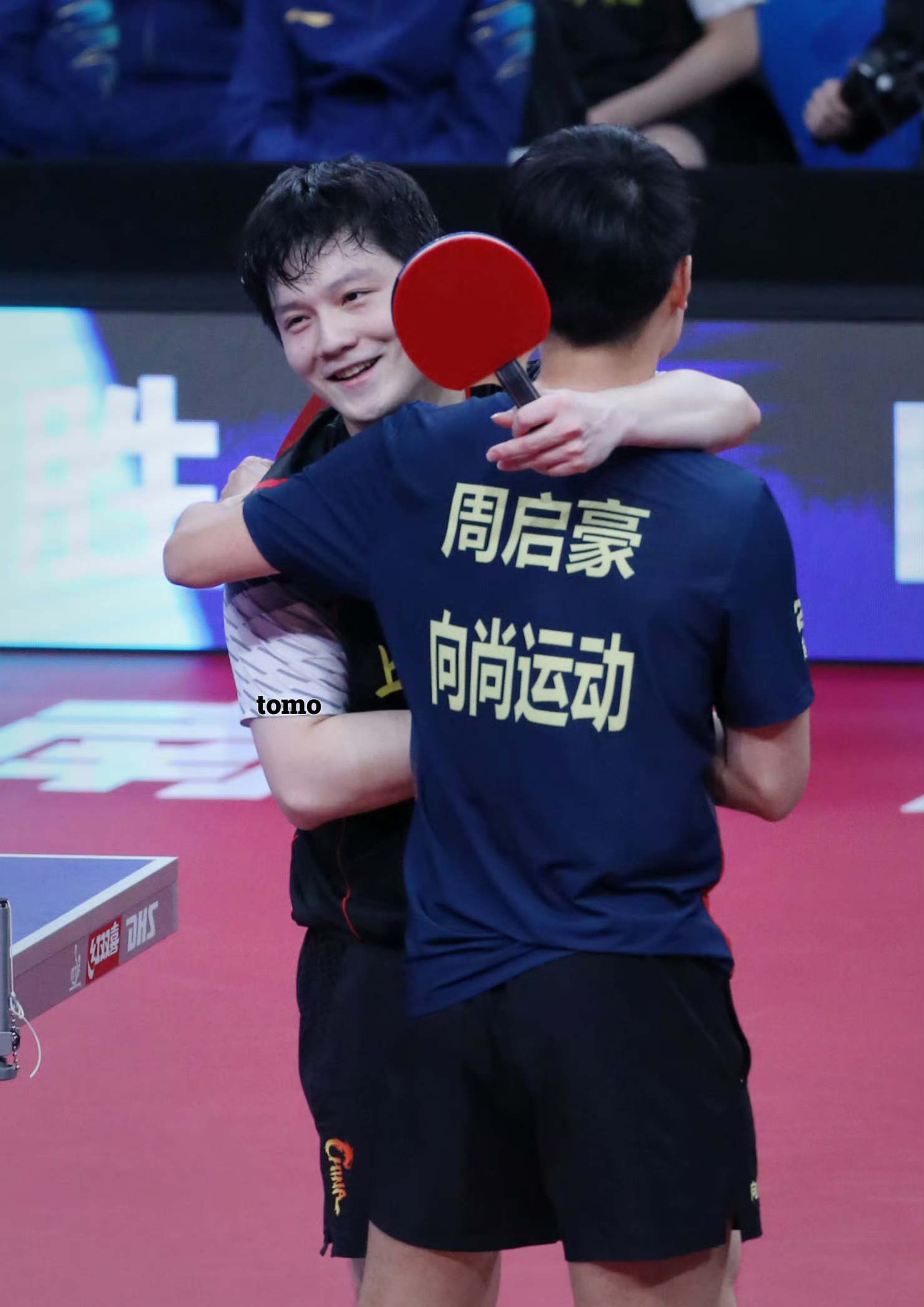 开云体育登录-瑞典队碾压德国队，樊振东高光表现