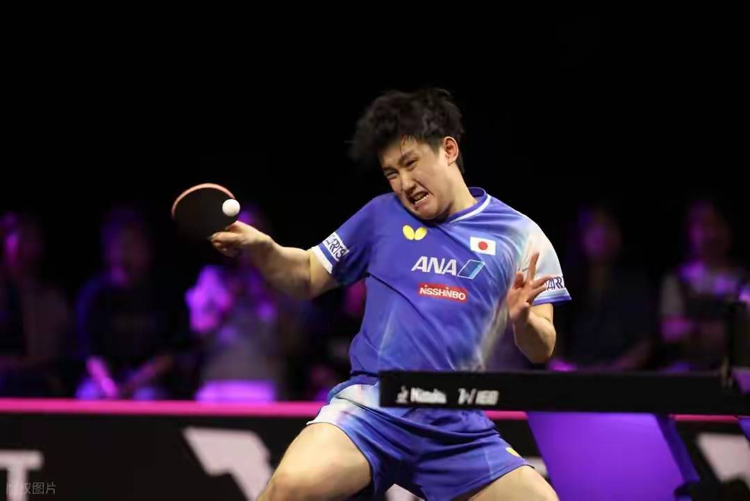 英格兰队逆转波兰队,张本智和点燃赛场 英格兰队逆转波兰队,张本智和点燃赛场