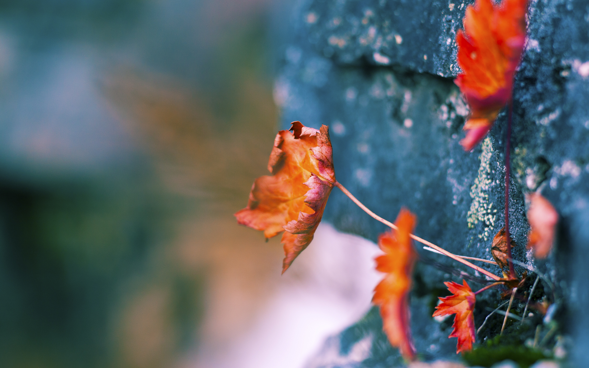 开云体育2026-末节之王觉醒！乔治关键先生本色助掘金逆转活塞