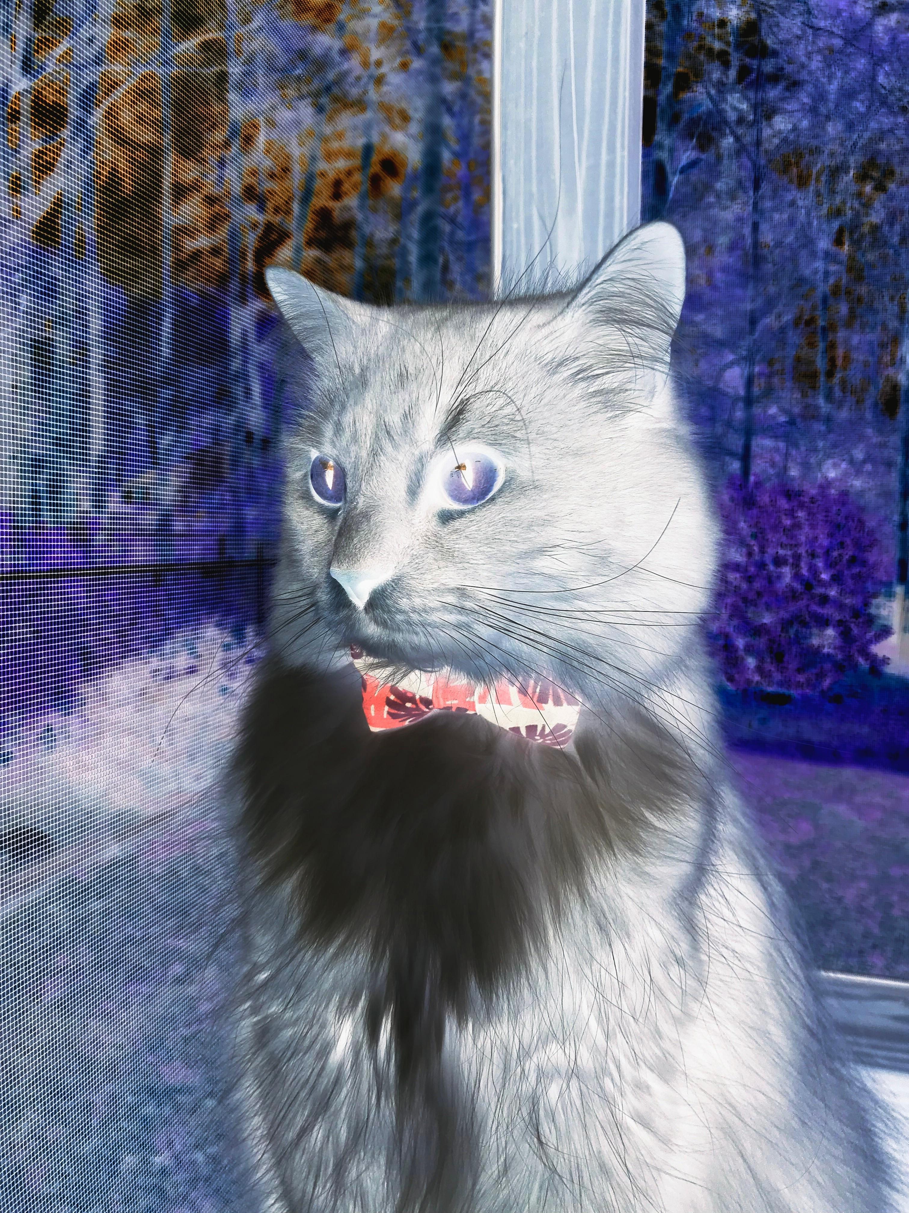 月夜弯刀，萨卡在美加墨世界杯之夜的自我救赎