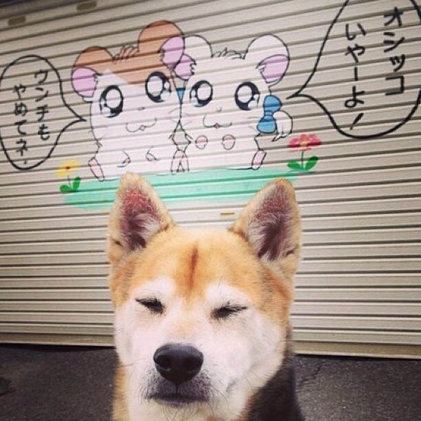 跨界狂想,F1揭幕战上的加纳绝杀英格兰—赛道与绿茵的奇幻交响