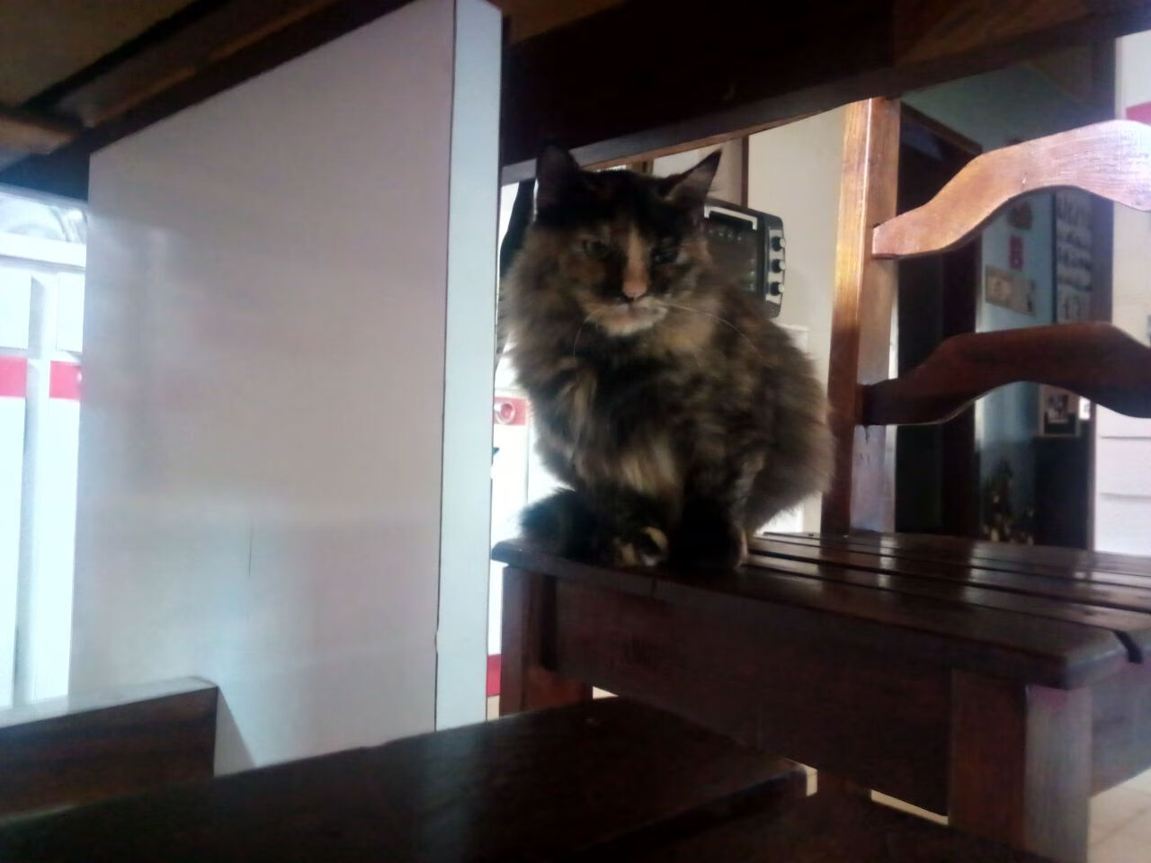 开云体育登录-神话英雄的利刃，加维一传一射，希腊客场2-1力擒摩纳哥