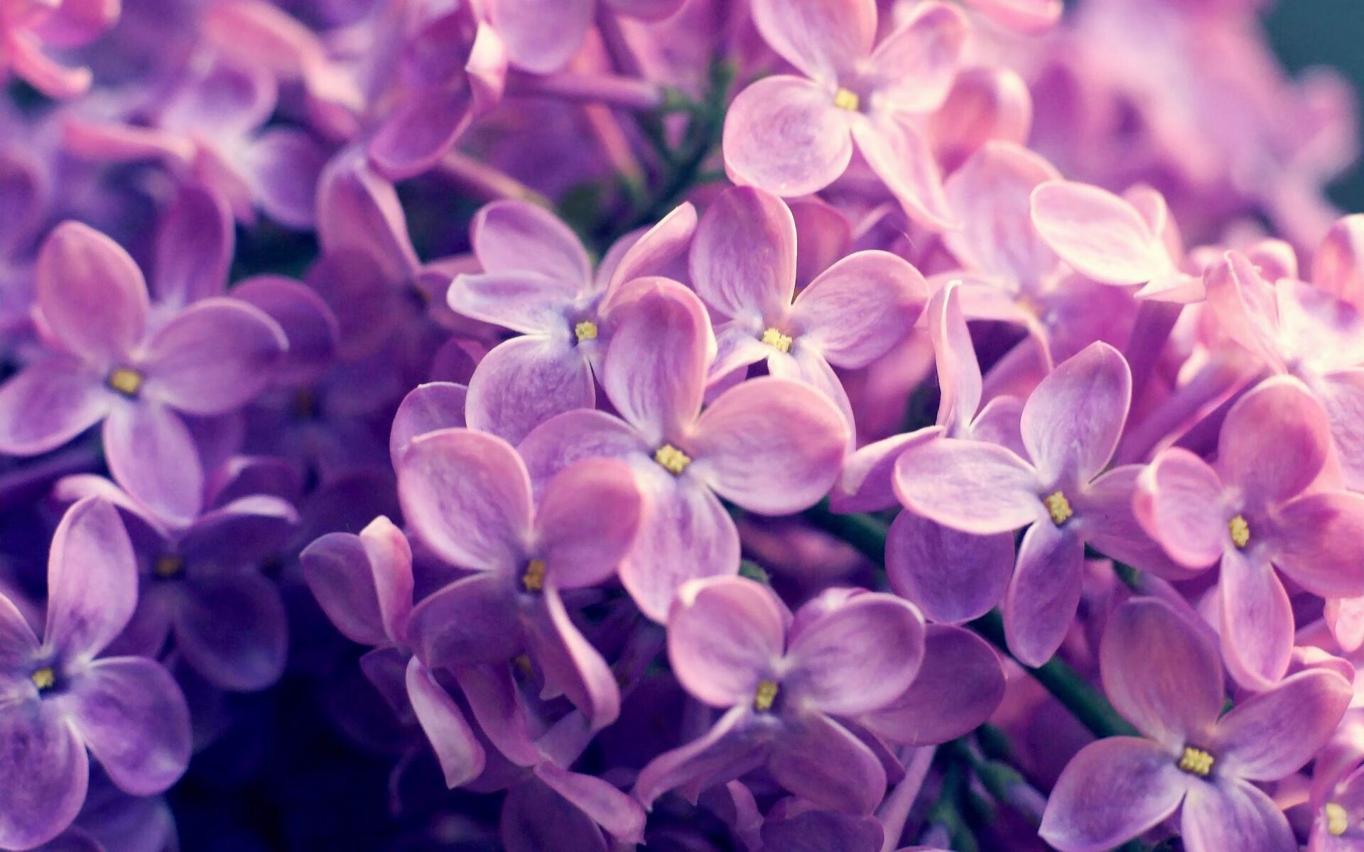 银河战舰压哨击碎桑巴灵魂，一场融合两大足球文明的史诗对决