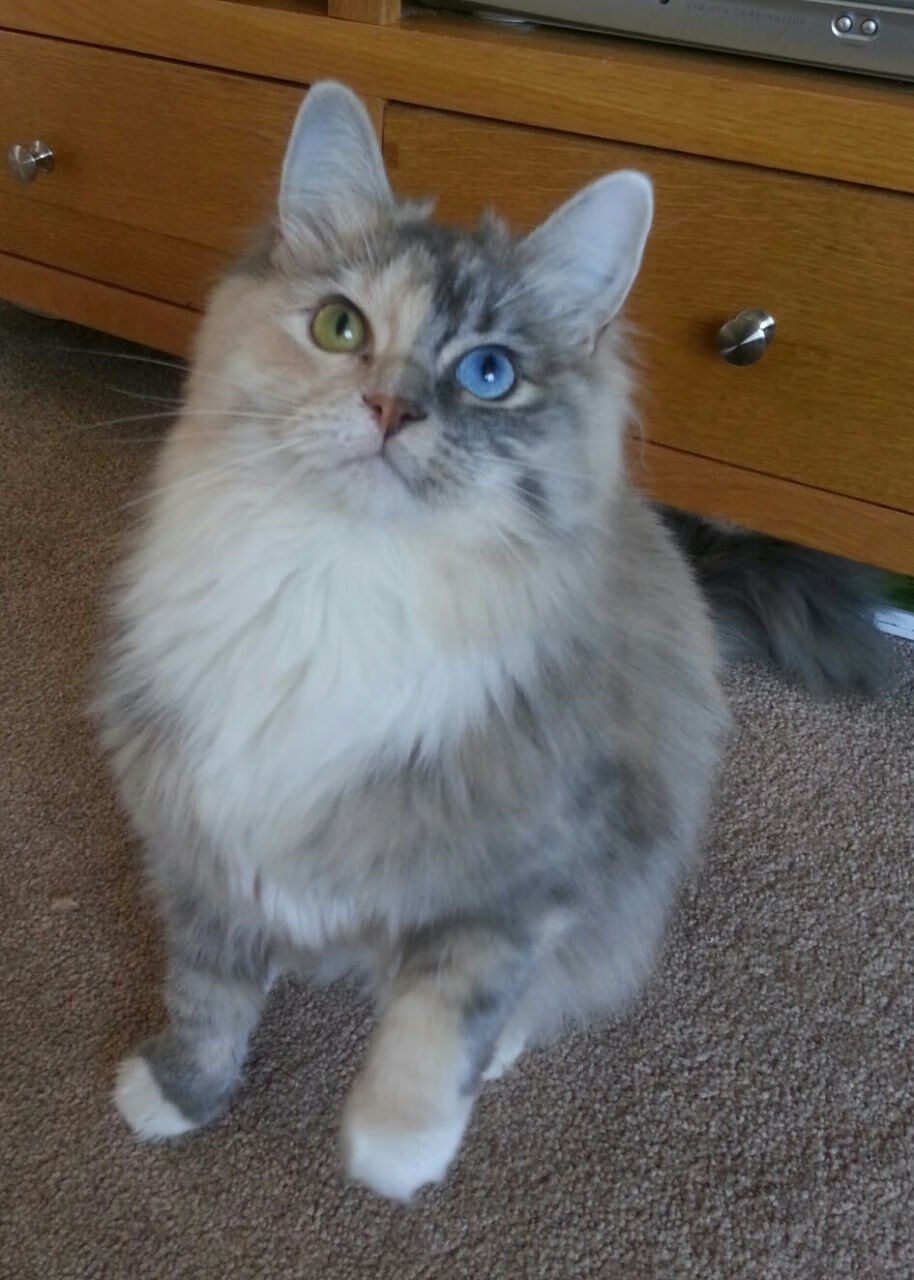 开云体育在线-双星闪耀夜，当76人的团队铁壁，遇见英格拉姆的孤月天幕