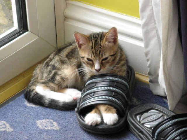 开云体育官网-唯一性之战，西班牙正面击溃哥伦比亚，卡马文加成为决胜者