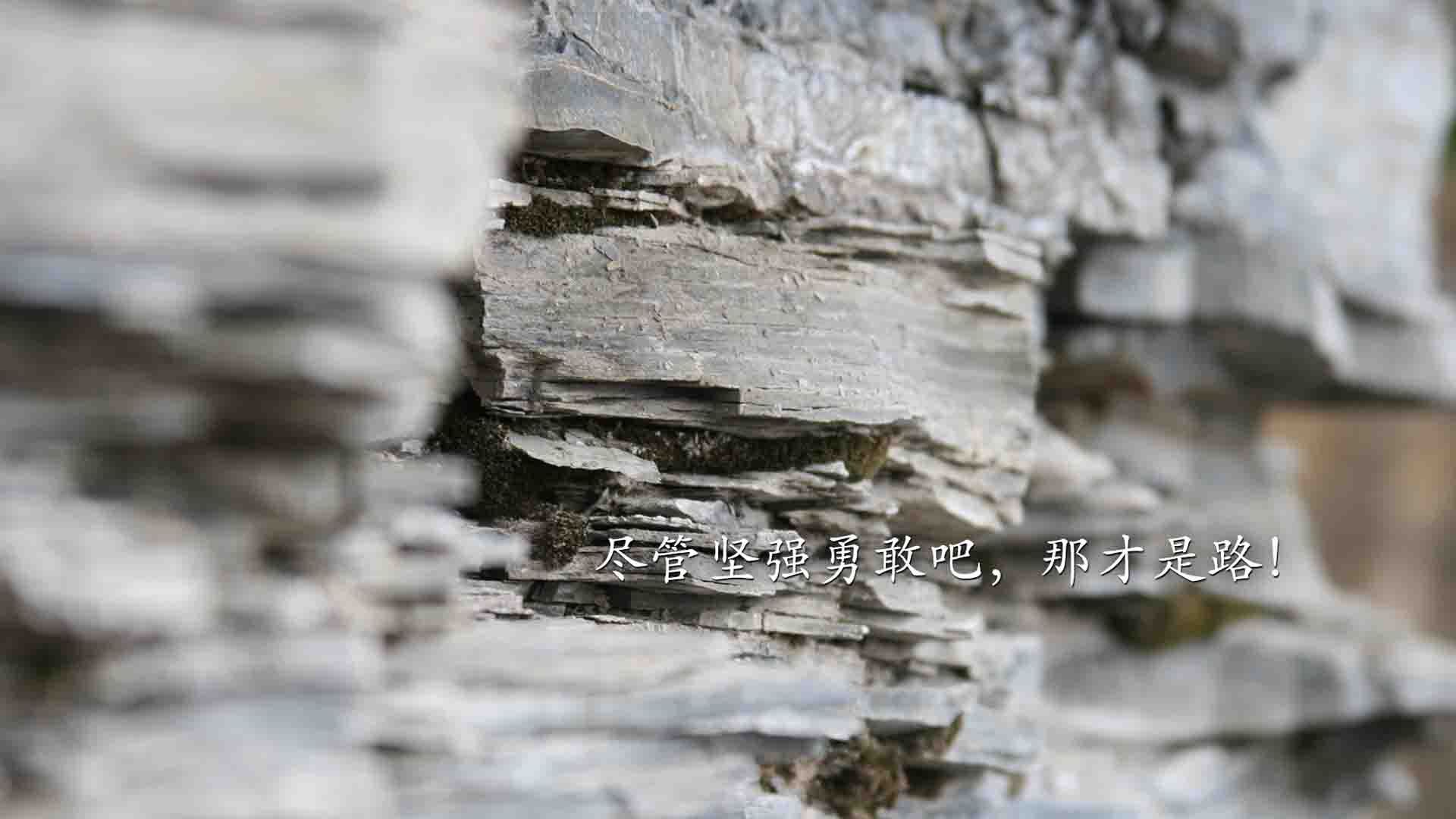 开云体育入口-F1年度争冠之夜，布雷默的完美发挥铸就传奇