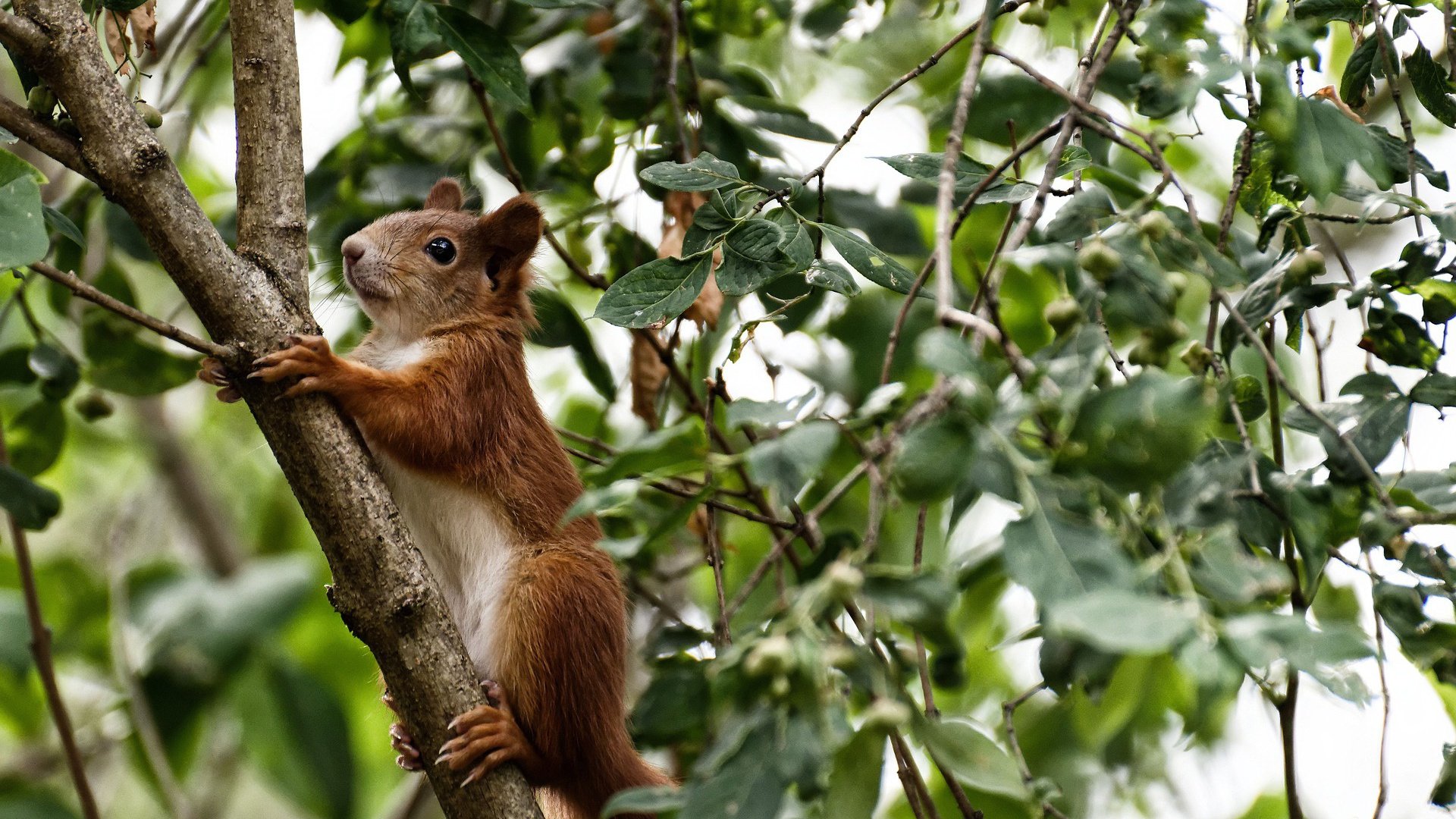 开云体育-绿茵战争，当几内亚的弯刀收割喀麦隆，拉什福德成为关键先生