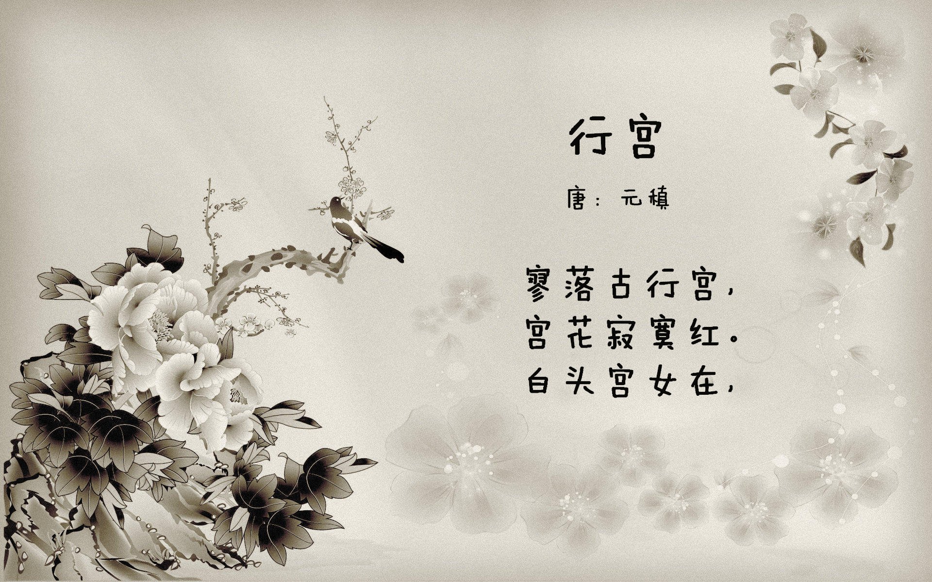 孤星与绿洲,努涅斯照亮了斯洛伐克通往美加墨的绝杀之夜