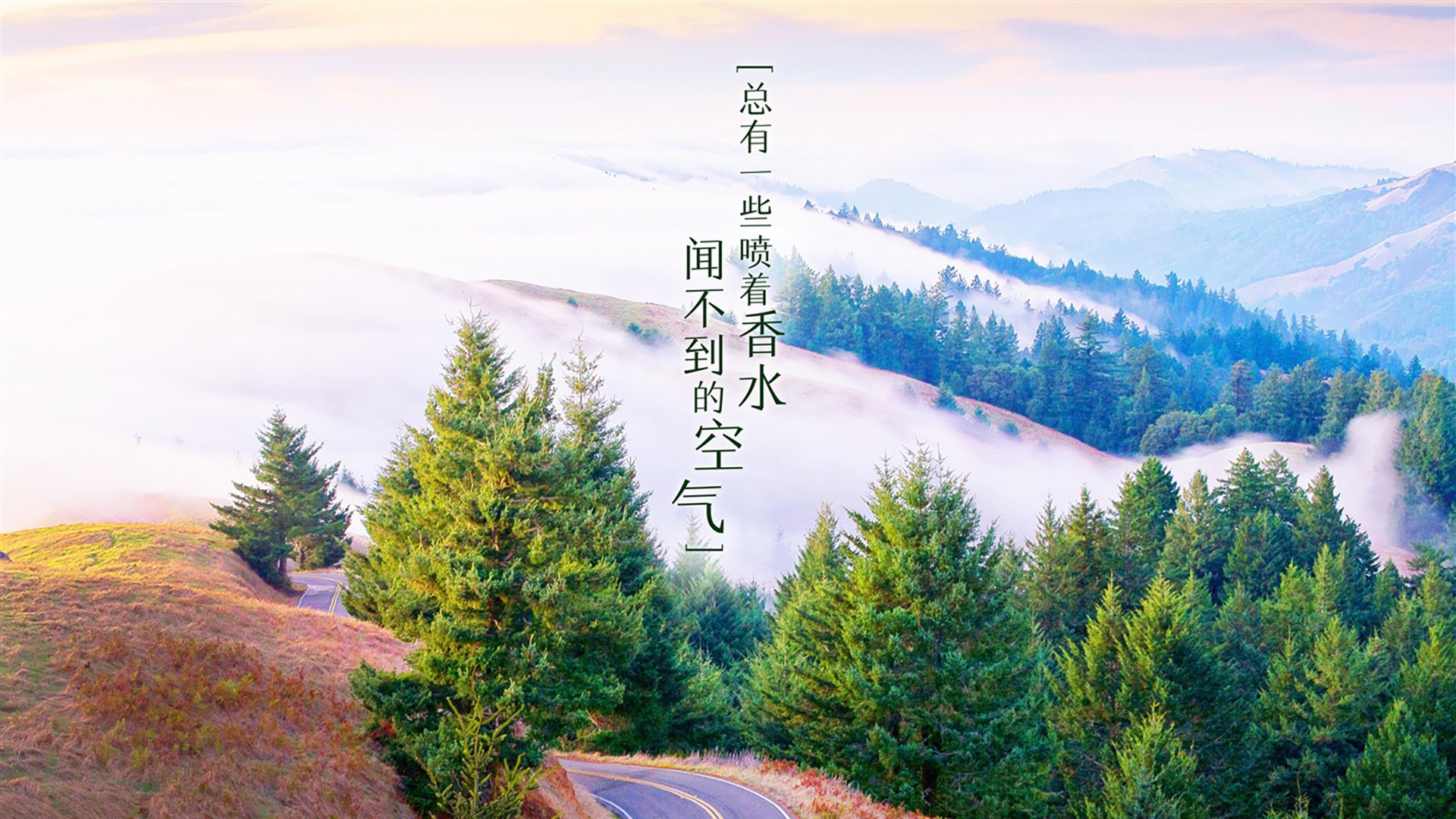 开云体育APP下载-2026世界杯D组焦点战，澳大利亚碾压日本，塔雷米天神下凡